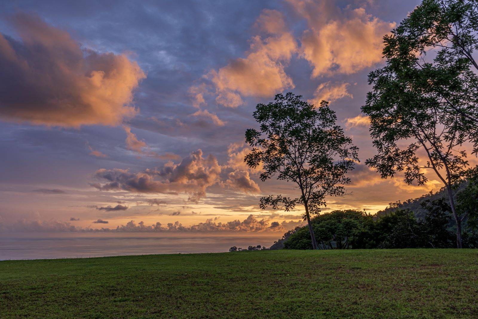 Night Yoga at Vista Celestial