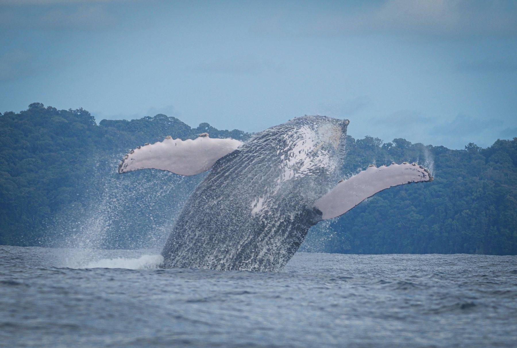 Walking on pristine Costa Rica beach